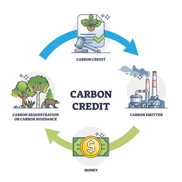 Guide to Understanding Carbon Credits