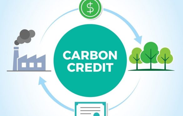 Policy and Regulations in Carbon Credits Market in India