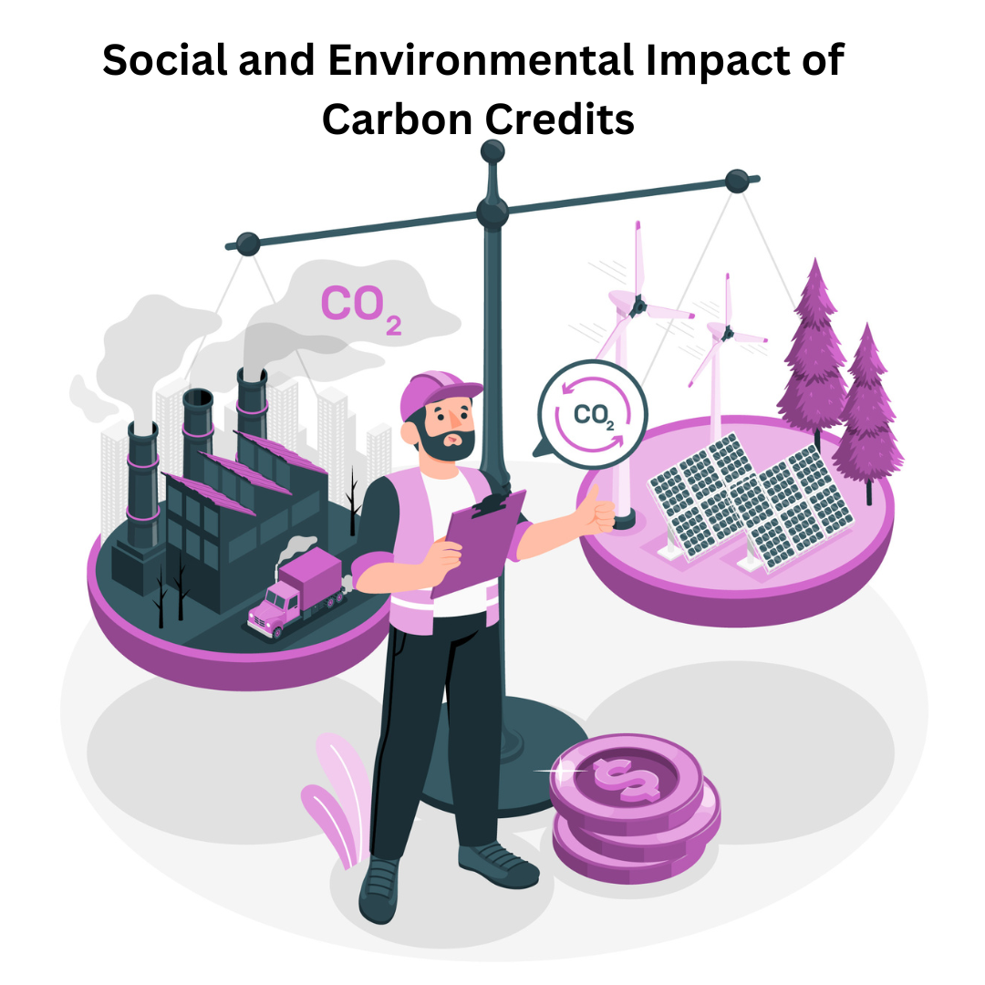 Social and Environmental Impacts of Carbon Credits