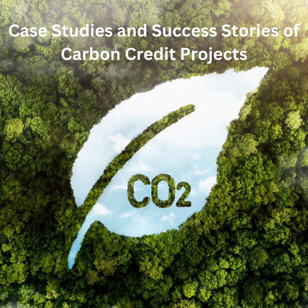 Case Studies and Success Stories of Carbon Credit Projects