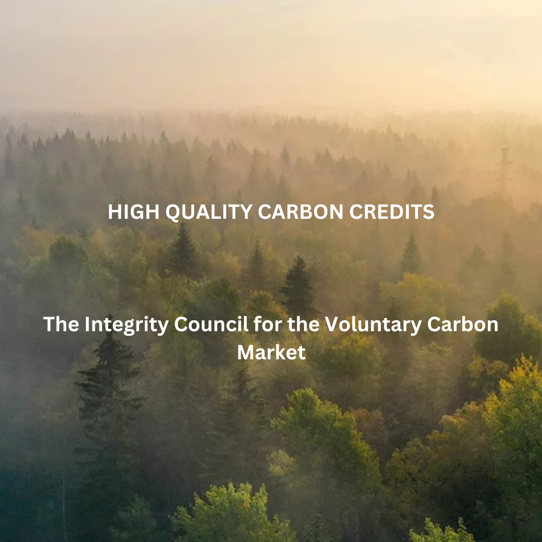 Need for Integrity Council for the Voluntary Carbon Market