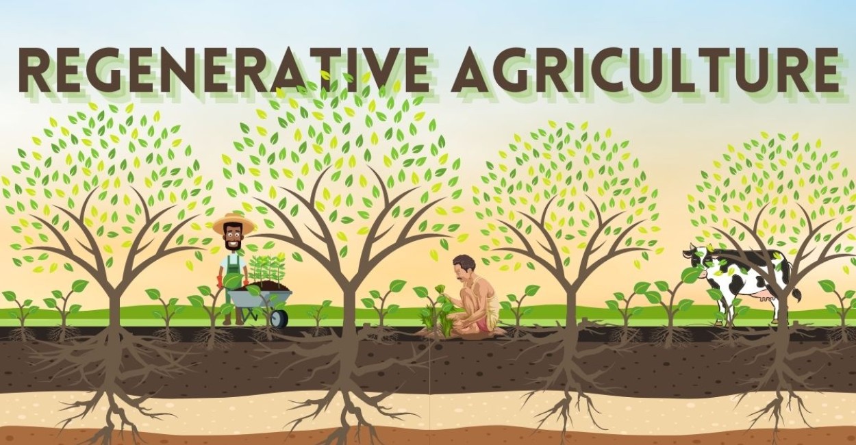 How Farmers Can Practice Regenerative Agriculture and Obtain Carbon Credits