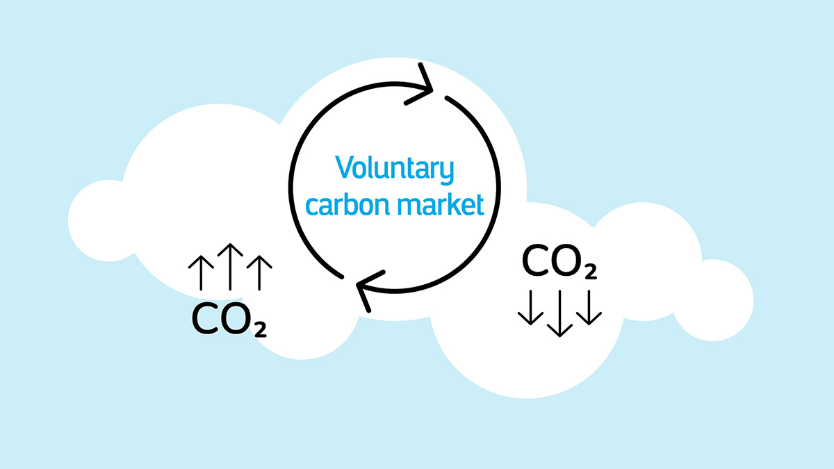 Demand for Low Quality Offsets undermining the Integrity of Voluntary Carbon Markets