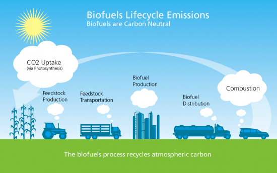 The Role of Carbon Credits in Bolstering Biofuel Production and Green Hydrogen Development